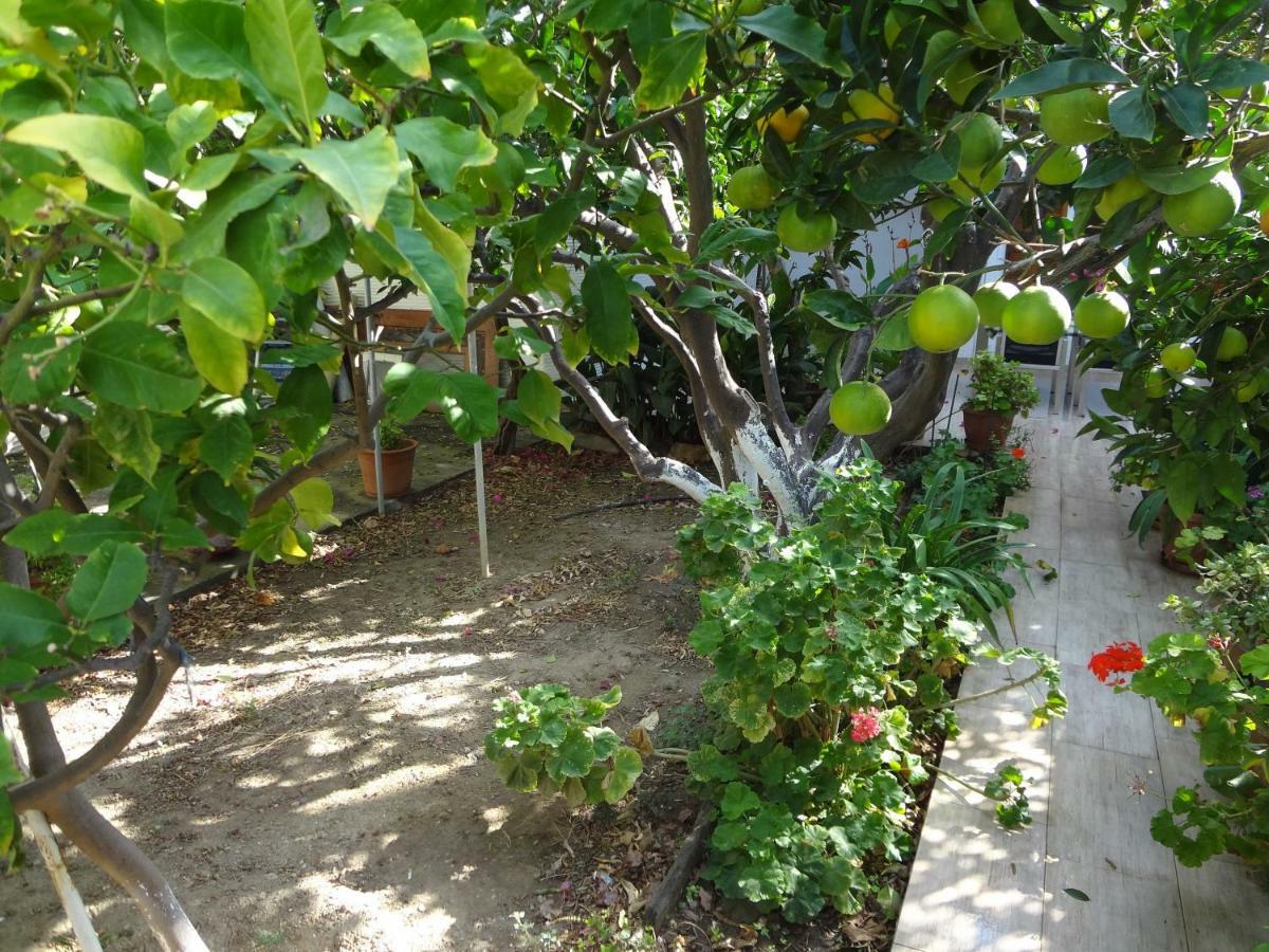 Willa Cozy Citrus Garden House By The Seaside. Khónias Zewnętrze zdjęcie